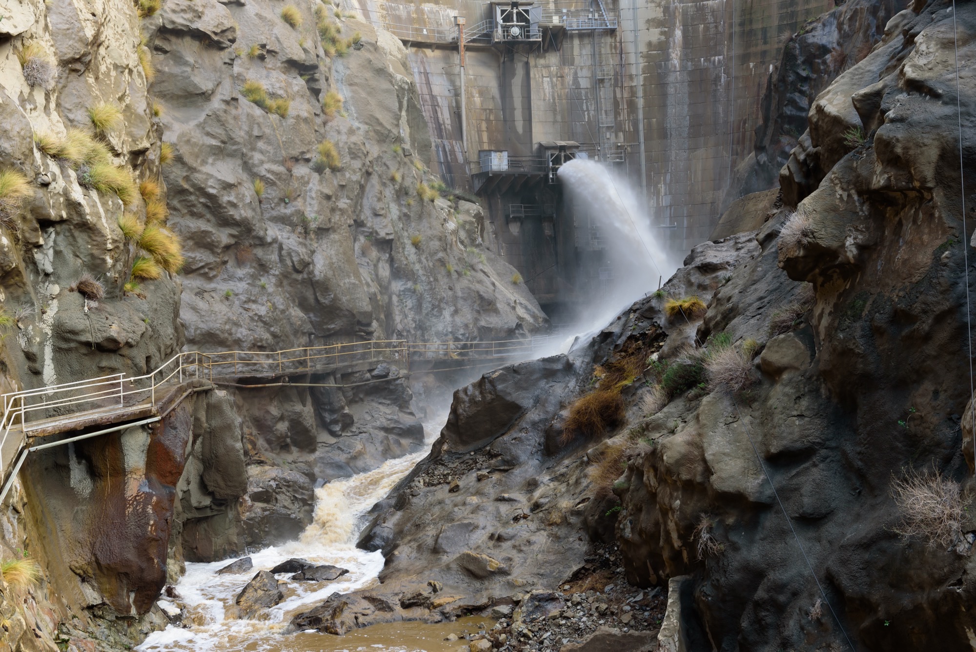 feature image of Pacoima Reservoir Restoration Project